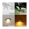 Simba Lighting Bombillas halógenas MR16 de 20 W y 12 V