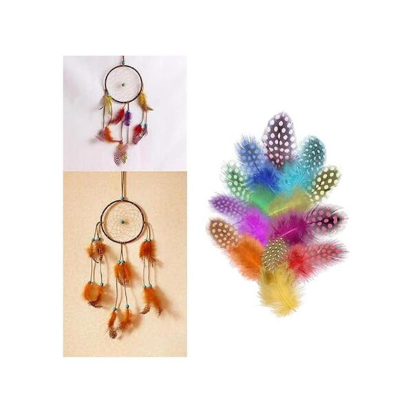 MWOOT Plumas de pollo naturales para manualidades 120