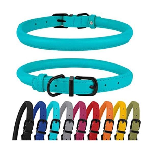 BRONZEDOG Collar de cuero enrollado para perro de cuerda