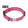 Embark Illuminate Collar de perro reflectante Hecho con_1