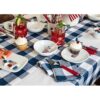 Solino Home Manteles individuales a cuadros servilletas_6