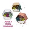 Craft Crush Kit de artesanía de mini terrarios para_4