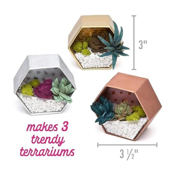 Craft Crush Kit de artesanía de mini terrarios para_4
