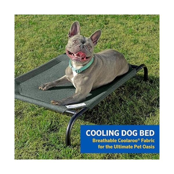 Coolaroo La cama elevada para mascotas de refrigeración_2