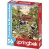 Puzzles Springbok Puzzle de 36 piezas de Alzheimer y_2