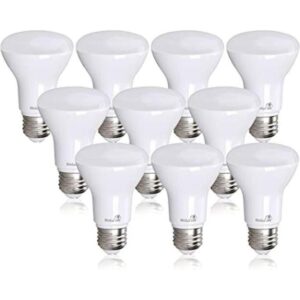 Bioluz Paquete de 10 bombillas LED BR20 de 6 W 50 W_1
