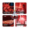 BULBMASTER 250 W R40 Lámpara de calor roja para