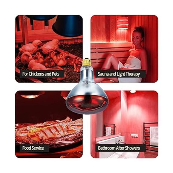 BULBMASTER 250 W R40 Lámpara de calor roja para