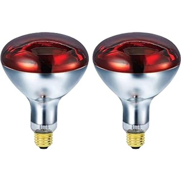 BULBMASTER 250 W R40 Lámpara de calor roja para