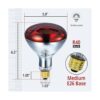 BULBMASTER 250 W R40 Lámpara de calor roja para