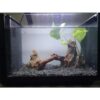 Hamiledyi Decoración de acuario tronco de madera