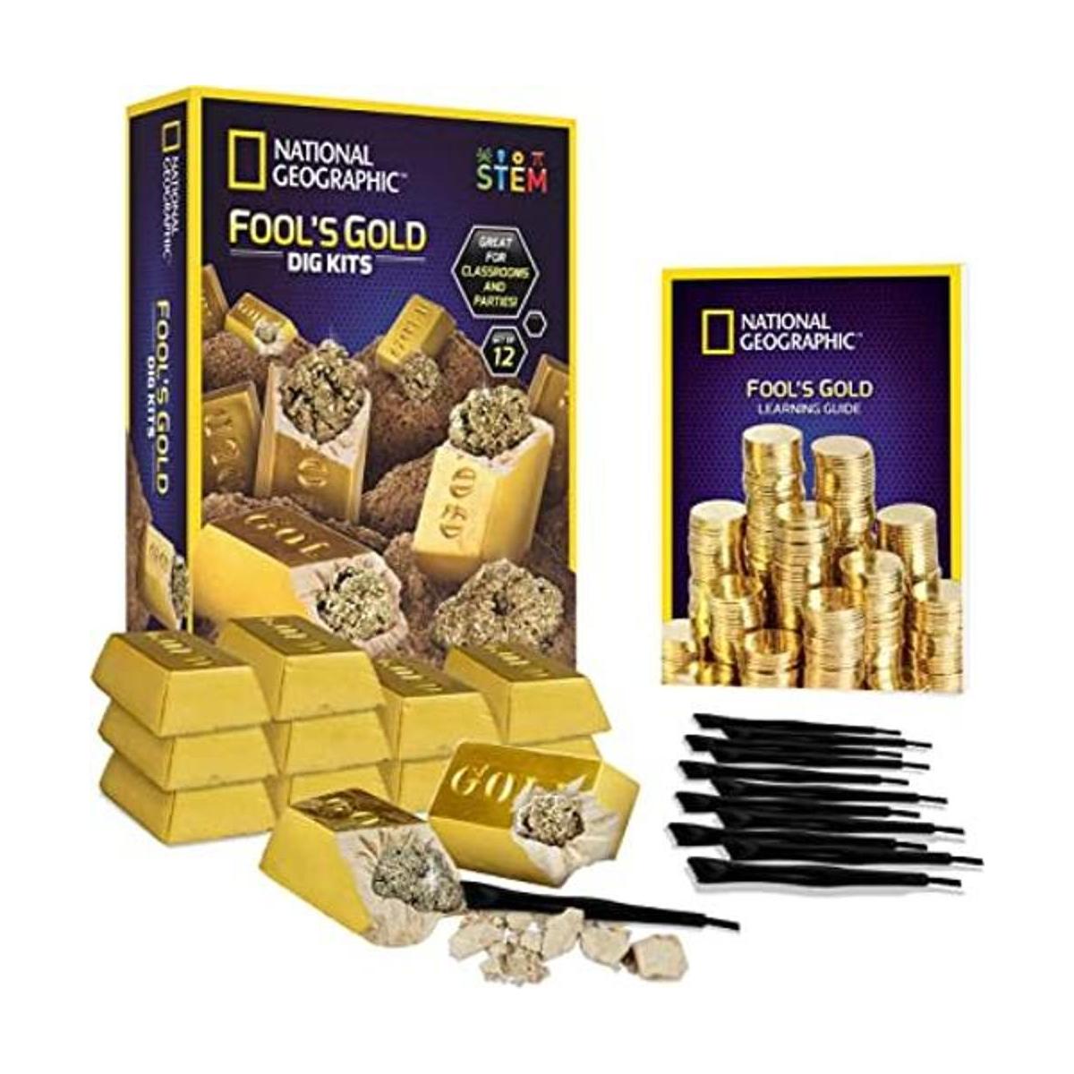 NATIONAL GEOGRAPHIC Fools Gold Dig Kit 12 ladrillos de