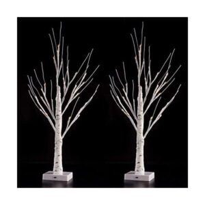 Sunnyglade 2 luces LED para árbol de abedul de 2 pies 24_1