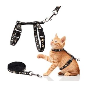 Juego de arnés y correa para gatos luna dorada de nailon