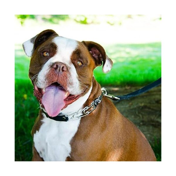Herm Sprenger Collar de entrenamiento para perros con_2