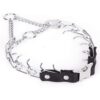 Herm Sprenger Collar de entrenamiento para perros con_1