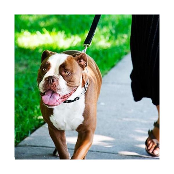 Herm Sprenger Collar de entrenamiento para perros con_5