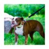 Herm Sprenger Collar de entrenamiento para perros con_6