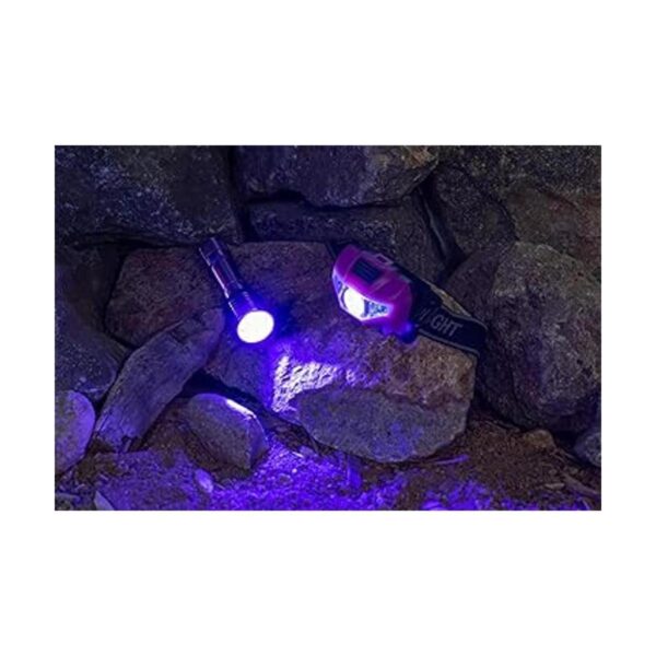 Everyday Survivor Linterna frontal LED de color blanco y