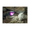 Everyday Survivor Linterna frontal LED de color blanco y