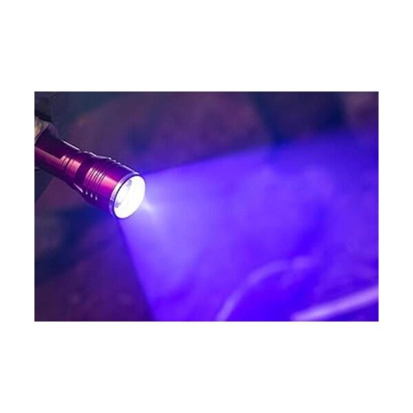 Everyday Survivor Linterna frontal LED de color blanco y