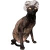 Kotomoda Gorros de ducha para gatos Sphynx y mascotas_3