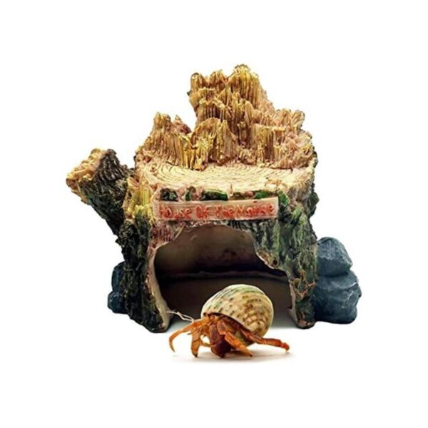 Cueva de escondite de reptiles lagartos cueva resina