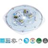 Silverlite Tamaño de PCB de 5.5 pulgadas tamaño total de