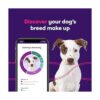 Orivet Genopet Prueba de ADN para perros Kit de prueba_3