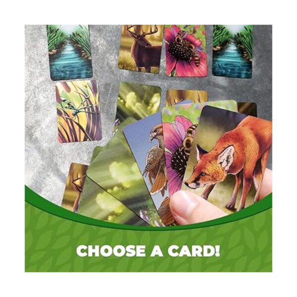 Ecosystem Un juego de cartas familiar sobre animales sus_5