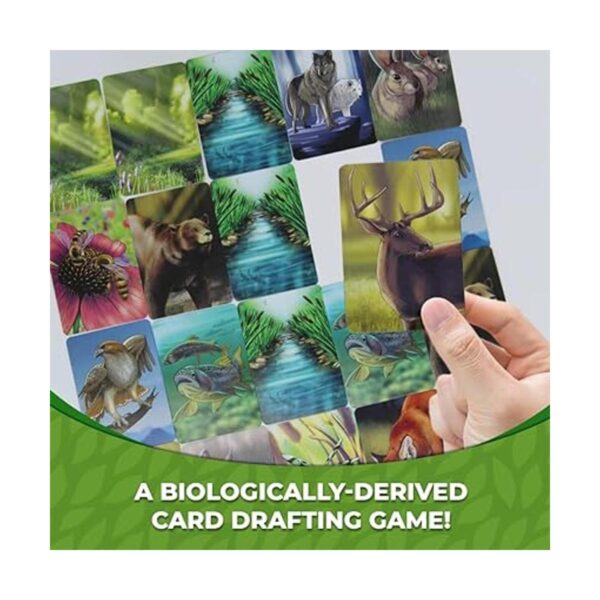Ecosystem Un juego de cartas familiar sobre animales sus_4