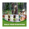 Ecosystem Un juego de cartas familiar sobre animales sus_6