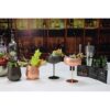 SKY FISH Stemless Stainless Steel Etching Wine Glasses18_4
