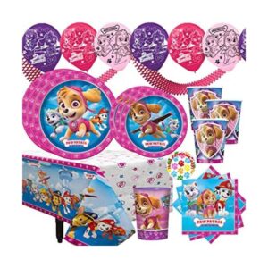 Paquete de suministros de fiesta de cumpleaños de pata de_1