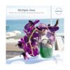 Royal Imports Arena decorativa de playa para relleno de