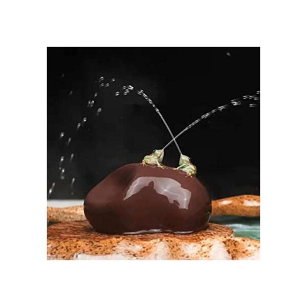 LYART Rana de té para mascotas que puede rociar agua_1