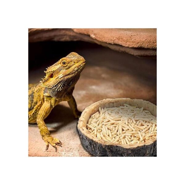 CalPalmy Paquete de 2 cuencos de comida para reptiles