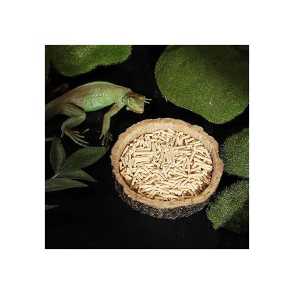 CalPalmy Paquete de 2 cuencos de comida para reptiles