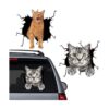 Calcomanías de vinilo para auto y gato calcomanías para