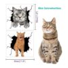 Calcomanías de vinilo para auto y gato calcomanías para