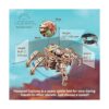 UGEARS Hexapod Explorer Rompecabezas 3D Robot mecánico_2