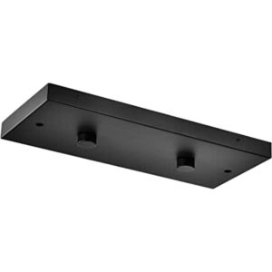 Two Pendant Light Linear Canopy Accessory Light Kit 1334_1