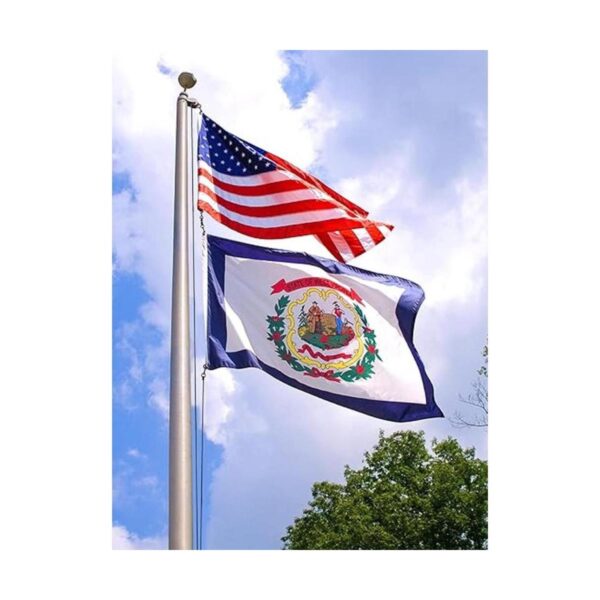 Kit de cuerda de asta de bandera de 100 pies con 4 ganchos