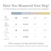 NINA WOOF Collar de perro compatible con AirTag 2021_2