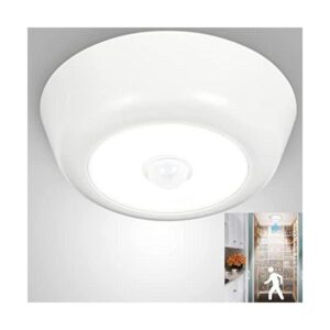 DLLT Lámpara de techo LED con pilas redonda_1