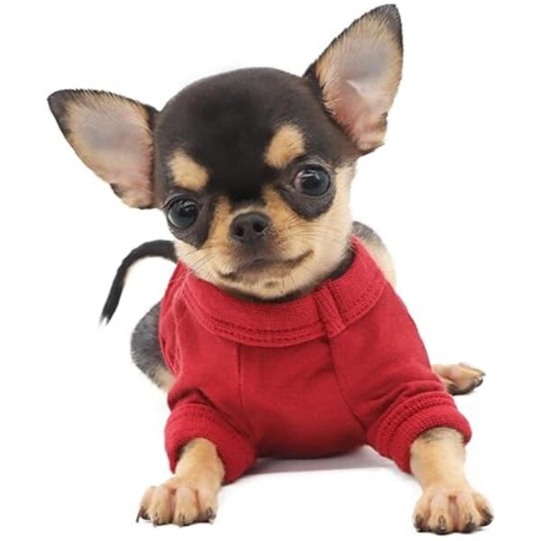 LOPHIPETS Camiseta 100 algodón para perros pequeños