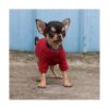 LOPHIPETS Camiseta 100 algodón para perros pequeños