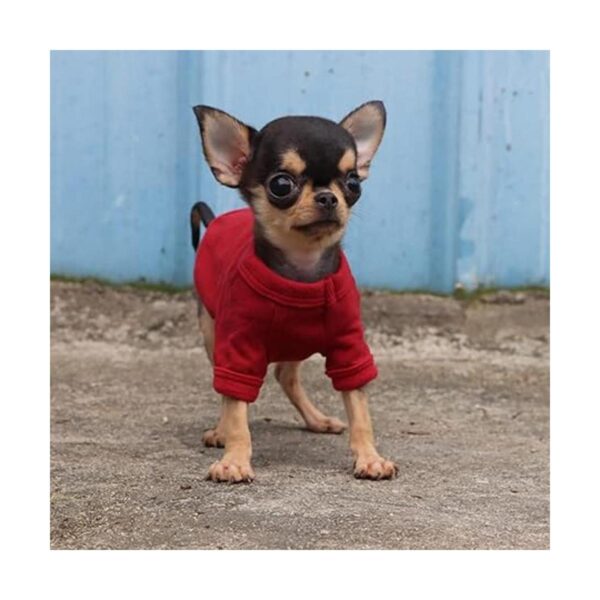 LOPHIPETS Camiseta 100 algodón para perros pequeños