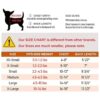 LOPHIPETS Camiseta 100 algodón para perros pequeños
