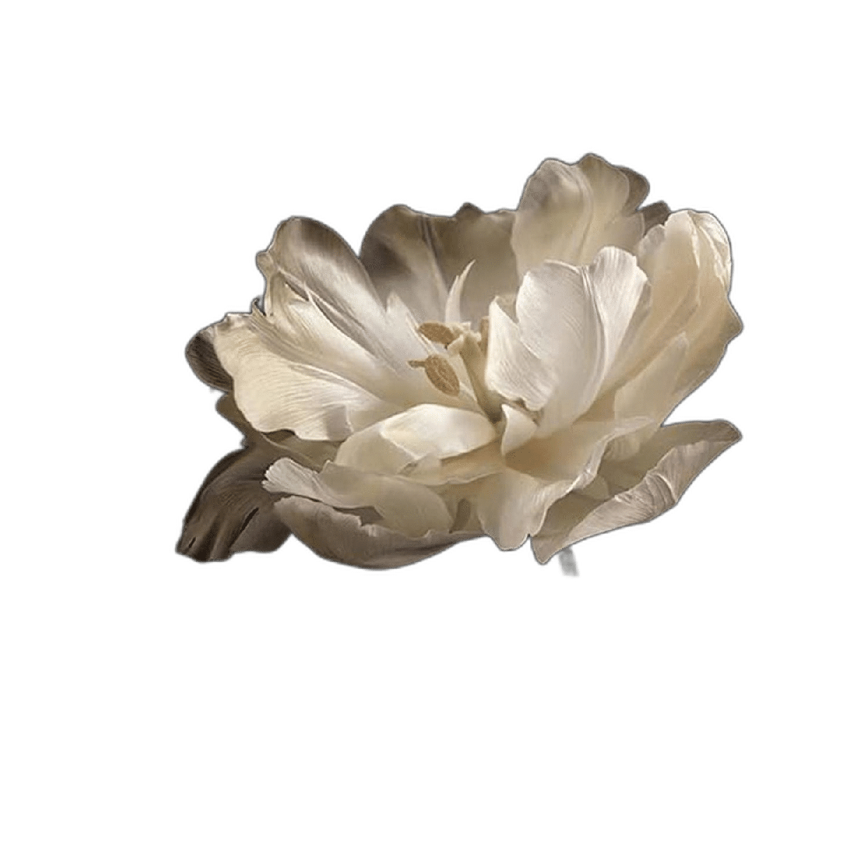 Decoración de baño negro Tulipán blanco sobre fondo